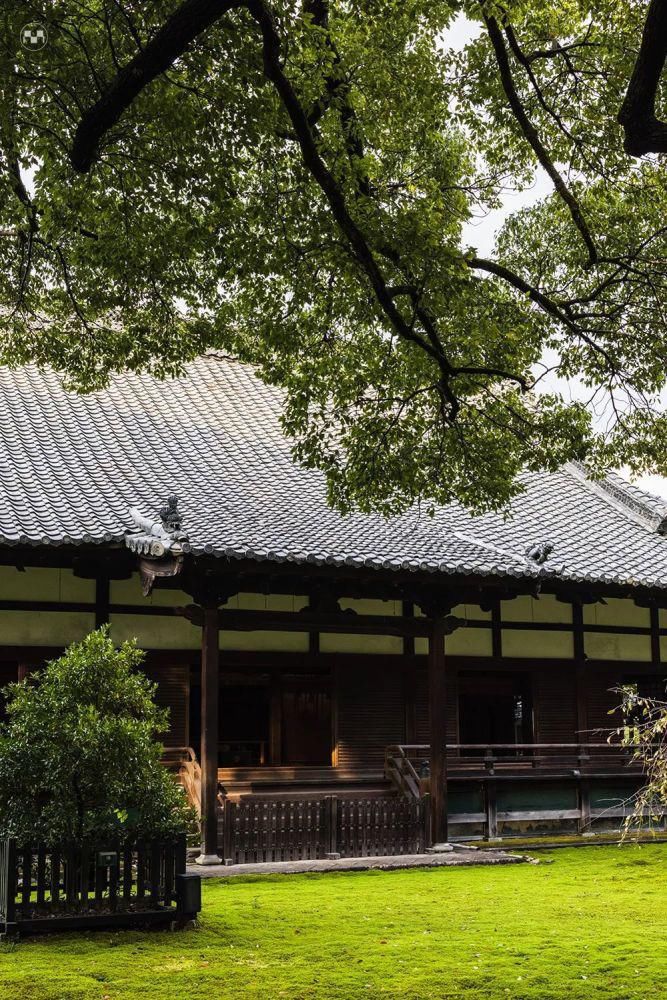 缪斯|青莲院:皇室贵族的修行圣地,文人画家的灵感缪斯