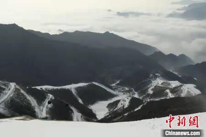 冬奥场馆|东西问丨“雪飞燕”“雪游龙”“雪如意”，冬奥场馆是如何构筑的？