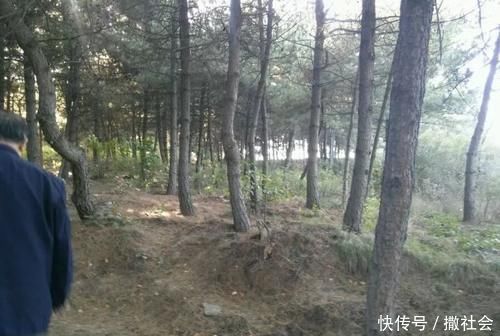 如果你有5个“坏习惯”,恭喜你,是养花高手!