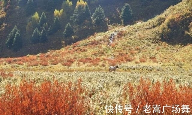 营地|川西塔公草原一个可同时看到雅拉雪山和贡嘎雪山的露营理想地