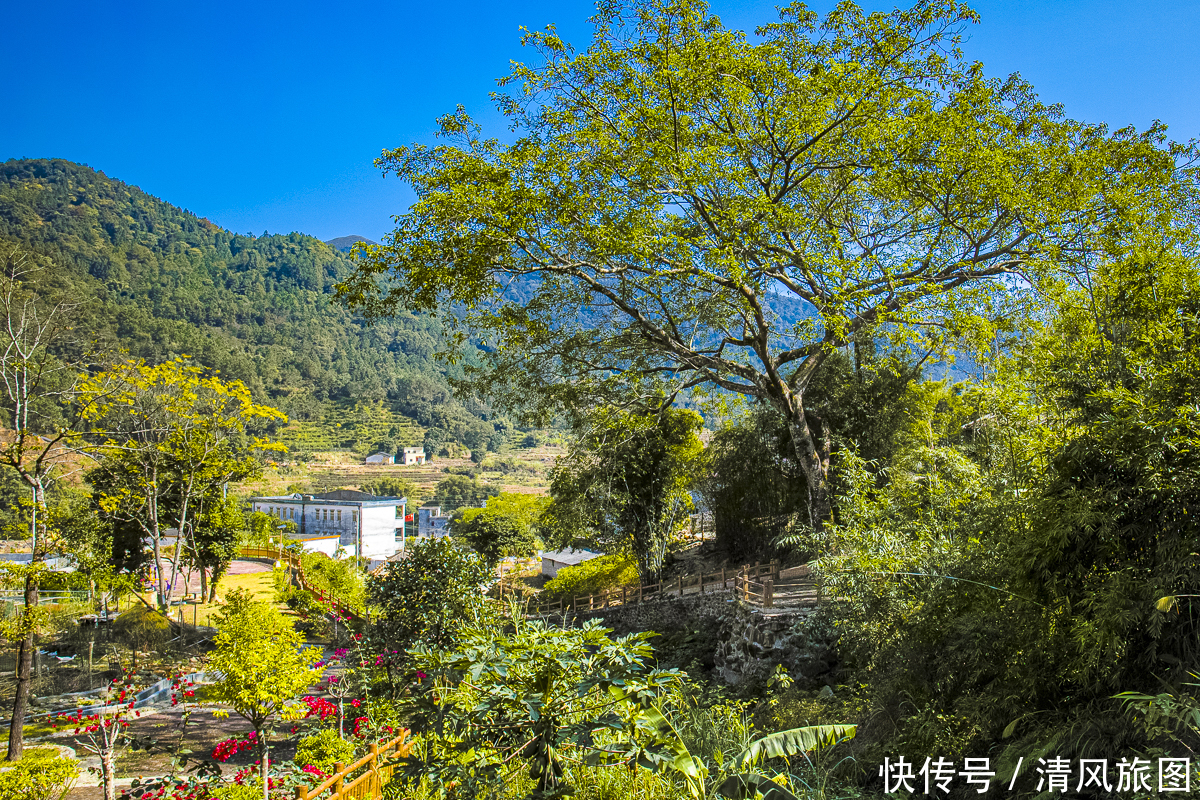 景色|景色迷人、没有门票的景区：阳春鸡笼顶，广东的万亩高山大草原