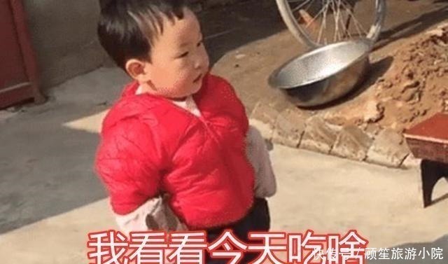 小朋友|一岁半萌娃满街跑,穿着尿不湿“蹭吃蹭喝”,走路的样子萌翻网友