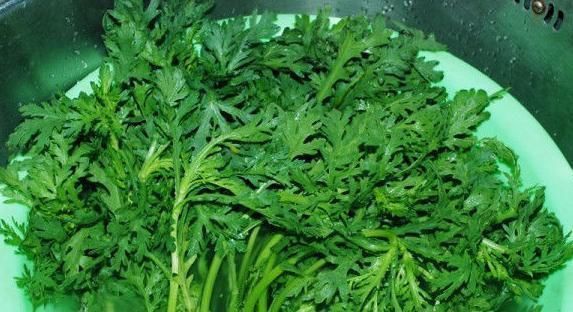 蔬菜|十人九腰疼，日常多吃一种蔬菜，腰不疼腿不酸，一口气上5楼