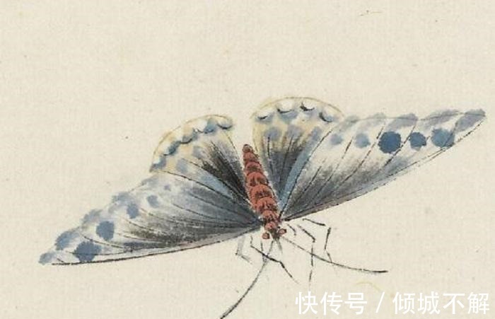 蝉!齐白石画了一只“蝉”,凭啥能卖到8亿放大30倍后发现端倪!