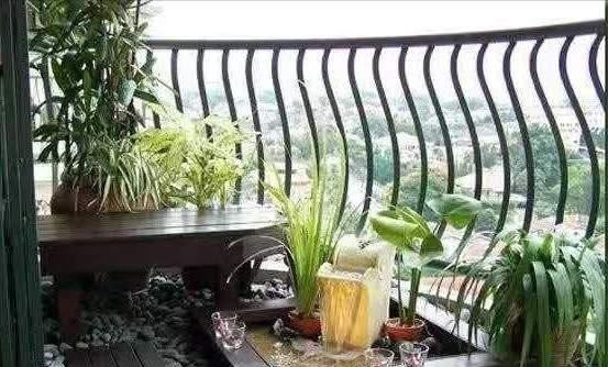 鱼池|养花高手不买一楼房子,庭院生活,一个阳台就能实现,羡慕