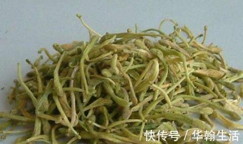 金银花|白开水泡是肝病“大克星”,养肝排毒祛湿,远离肝炎、肝硬