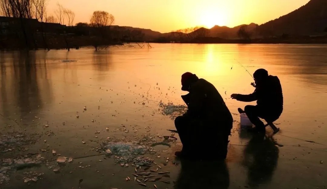 饵料|冬季钓鱼一切从“小”出发,那你就对了