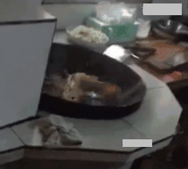 |搞笑GIF:坐电梯遇到的仙女,她看我的眼神好怪哦