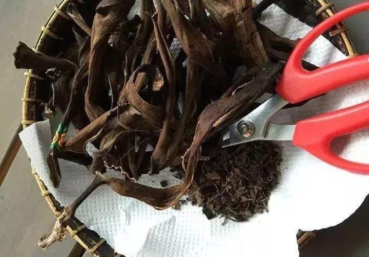 4种垃圾不会分类别担心,埋在花盆底,叶子绿得直滴油!