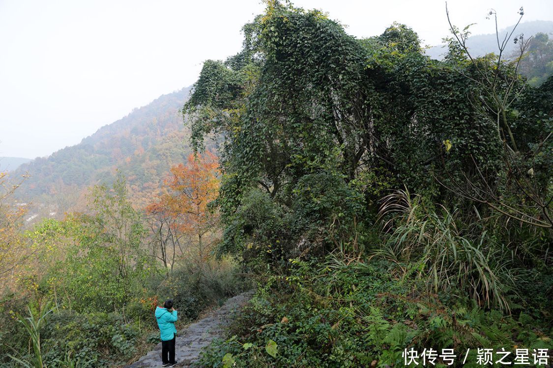 京西|燕窝古道，林山古道，梯形环线风光美