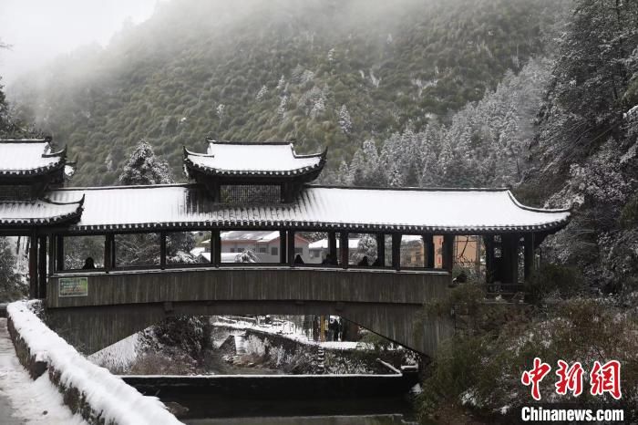 百山祖|浙江百山祖国家公园迎降雪 风景如画