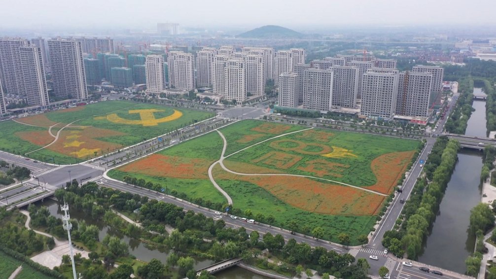 土地|临平闲置土地变身百亩花海 献礼建党百年