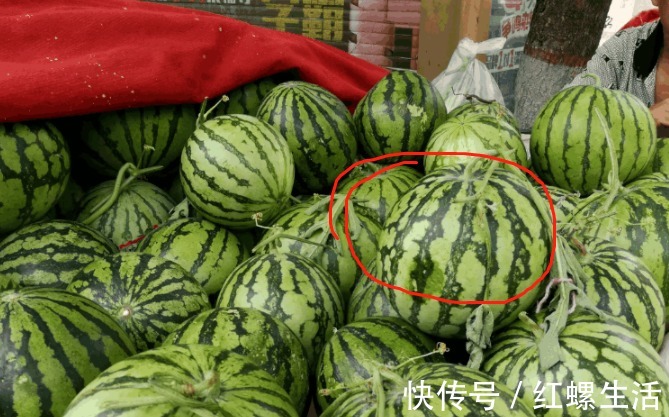 西瓜|西瓜甜不甜，内行人都看这里，一挑一个准，瓜农的方法简单又实用