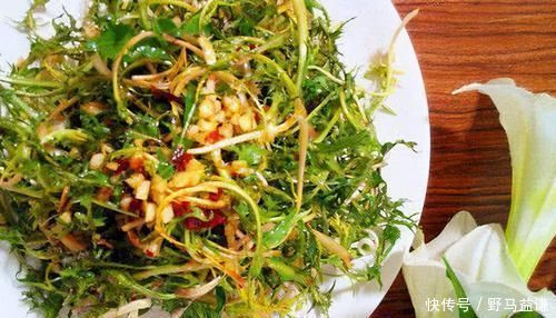 常吃|想长寿得会吃，常吃以下3种食物，排毒清肠、补充营养、改善体质