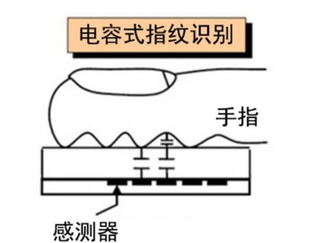 光学|超声波指纹、光学指纹、电容指纹谁才是指纹解锁的最优解！