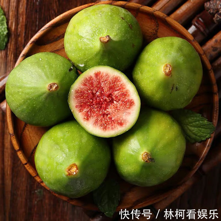 此款盆栽花卉,漂亮不输玫瑰,四季有花开,养殖简单,你值得拥有