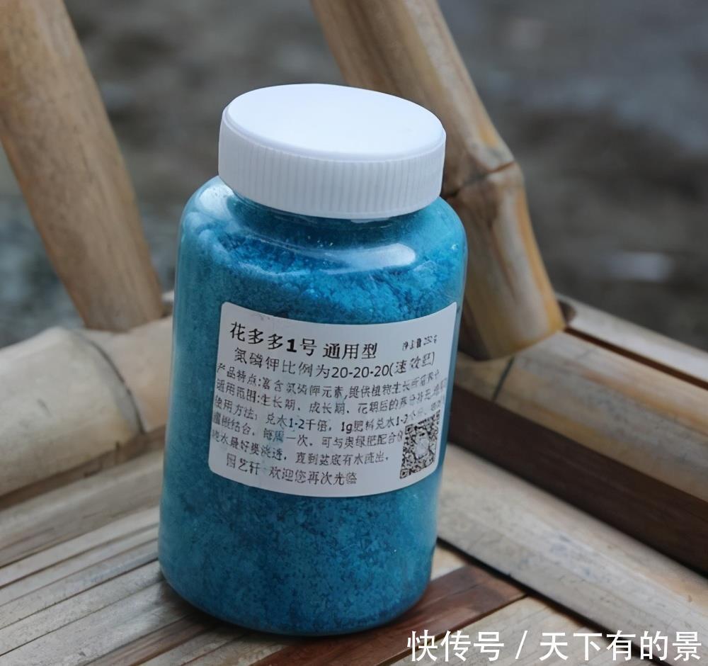 “花多多”肥料几十种,眼花缭乱看不懂?4种就够,多了没用!