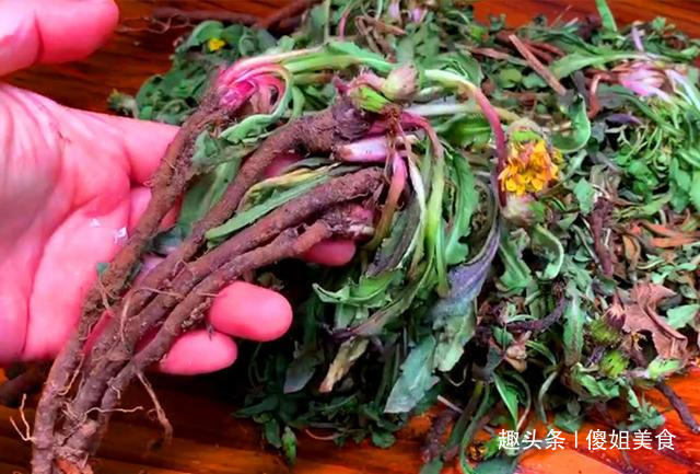 清热解毒|此菜浑身都是宝,可惜很多人都当草,钙是菠菜5倍,现在吃正当季