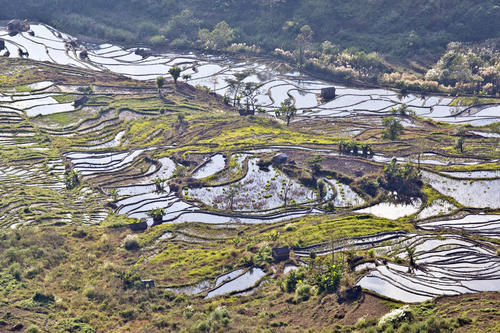 梯田|山势最险峻复杂、气势最恢宏壮观，大地雕塑最高典范，老虎嘴梯田