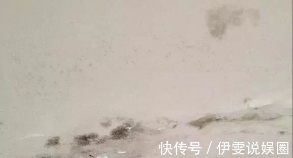 修补|墙面起皮发霉不用再找装修工，老师傅教你一招，连女人都能修补好