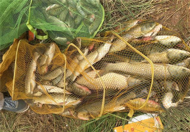 钓位|夏天野钓草鱼全攻略,钓位最重要,饵料岸边就有