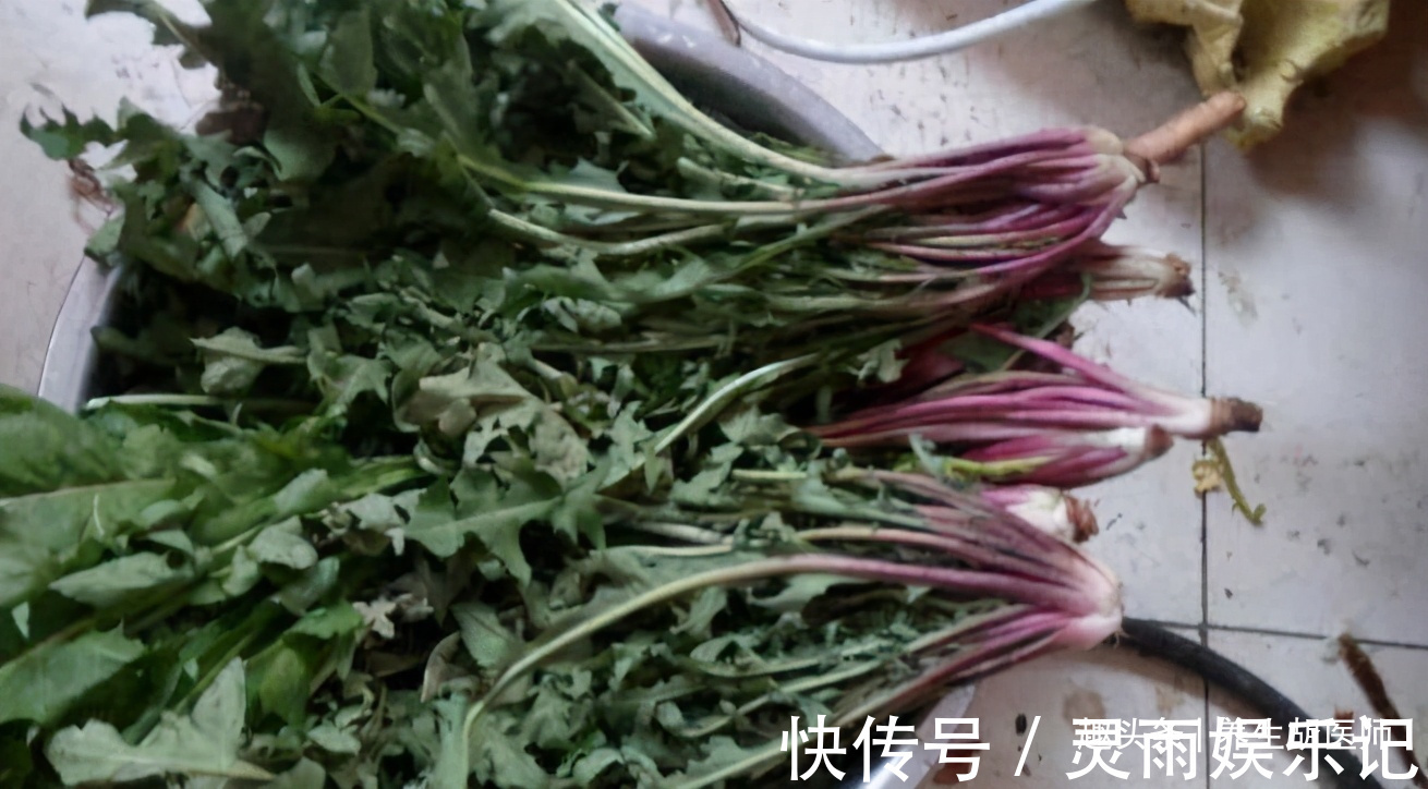 青椒|夏天了,女人多吃以下食物,补充营养,延缓衰老,早吃早好