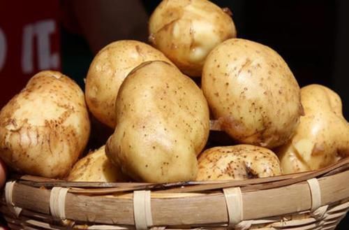 土豆和此物不能一起吃,再喜欢也别放,很多家庭都犯此错