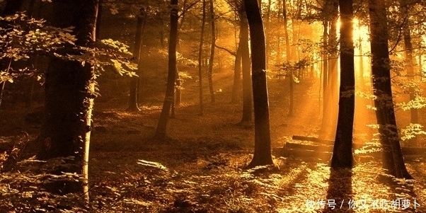 坐月子|很多的婆媳矛盾都是从坐月子开始的