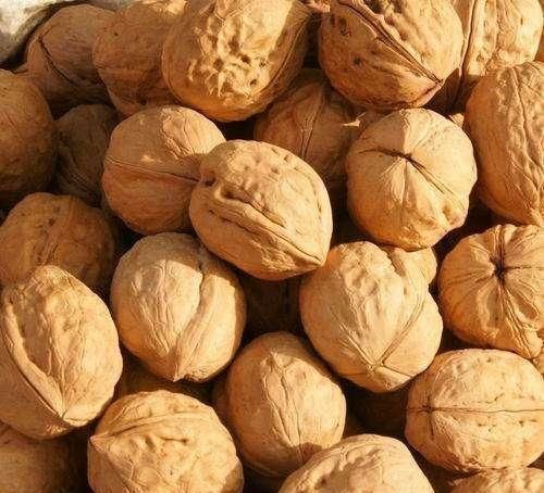 酸枣仁|失眠不用慌, 这几种食物睡前吃一点, 安神助眠, 比安眠药还管用!