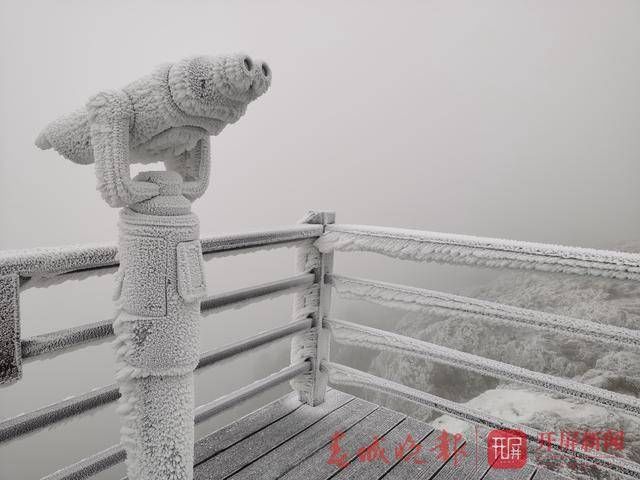 昆明轿子雪山下雪啦！银装素裹，美不胜收……