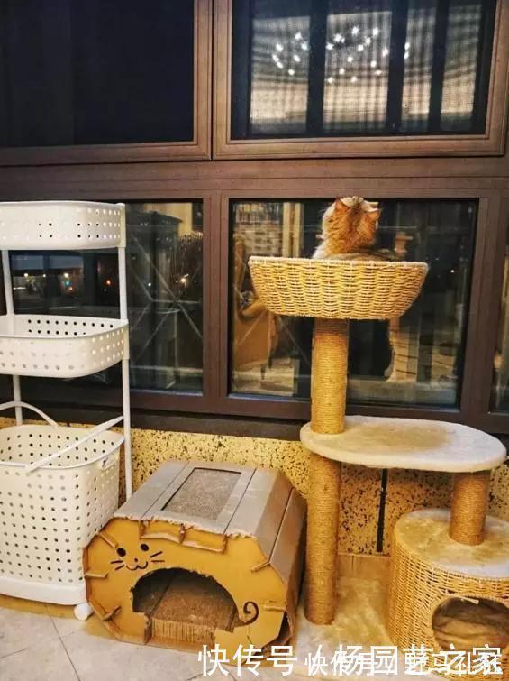 洗衣机|只有一个阳台,一定不要乱装!这么做等于多了一间房,实用