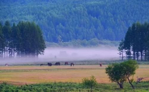 大兴安岭，你的风景如此美丽……