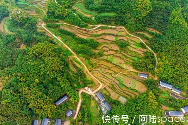 小村|这个杭州的山间小村，有竹海和梯田，美得像油画一样