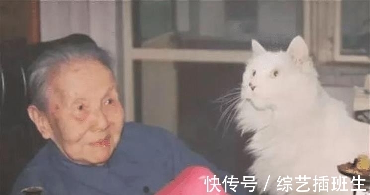 钱钟书!被鲁迅瞧不起,被林徽因怼,为何同时期的文人,都讨厌冰心?