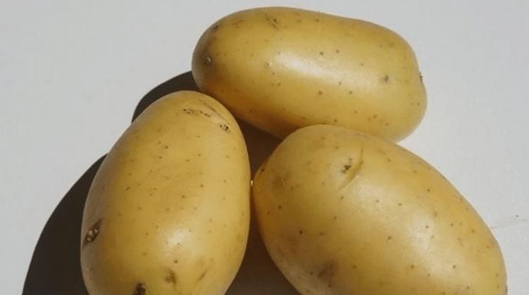 核桃|怀孕后，孕妈多吃这几种食物，不仅安胎，还能促进胎儿智力发育