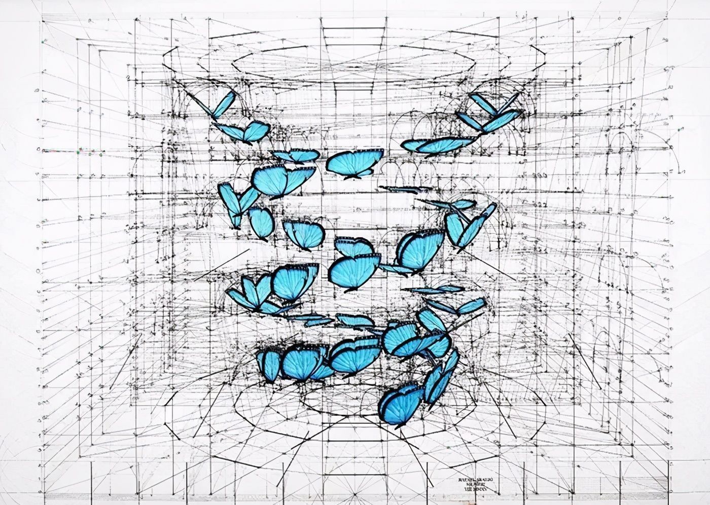 黄金比例!理工男花40年时间,用圆规画1000张画,黄金比例的拥护者