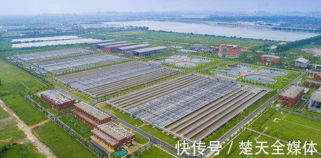 十三五|武水集团荣获第六届“社会价值共创”中国企业社会责任卓越案例评选“双碳目标奖”