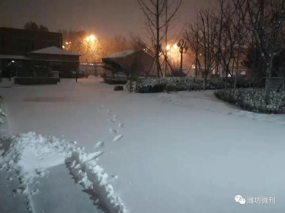 李文花：又见漫天雪花飘