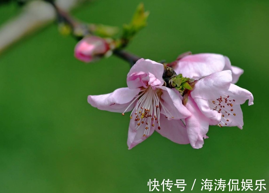 生肖|生儿子，一辈子不愁钱，生女儿，一生有福气的3大生肖女