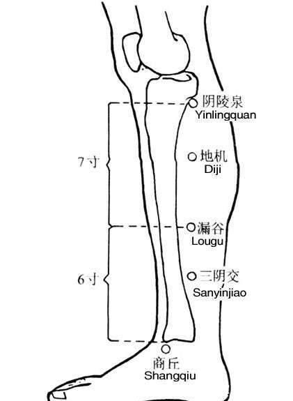 三阴交穴|脾，后天之本！老中医带你品味人体脾经大药！补脾通络，胜吃补药