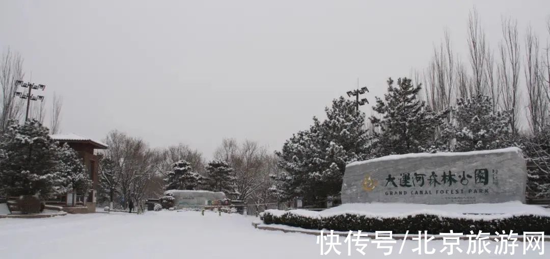 通州|北京通州大运河森林公园发布闭园通告