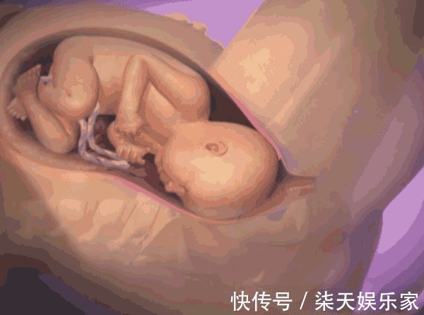 出生|胎儿出生前都在忙什么组图播放全过程,着急见爸妈的样子真可爱