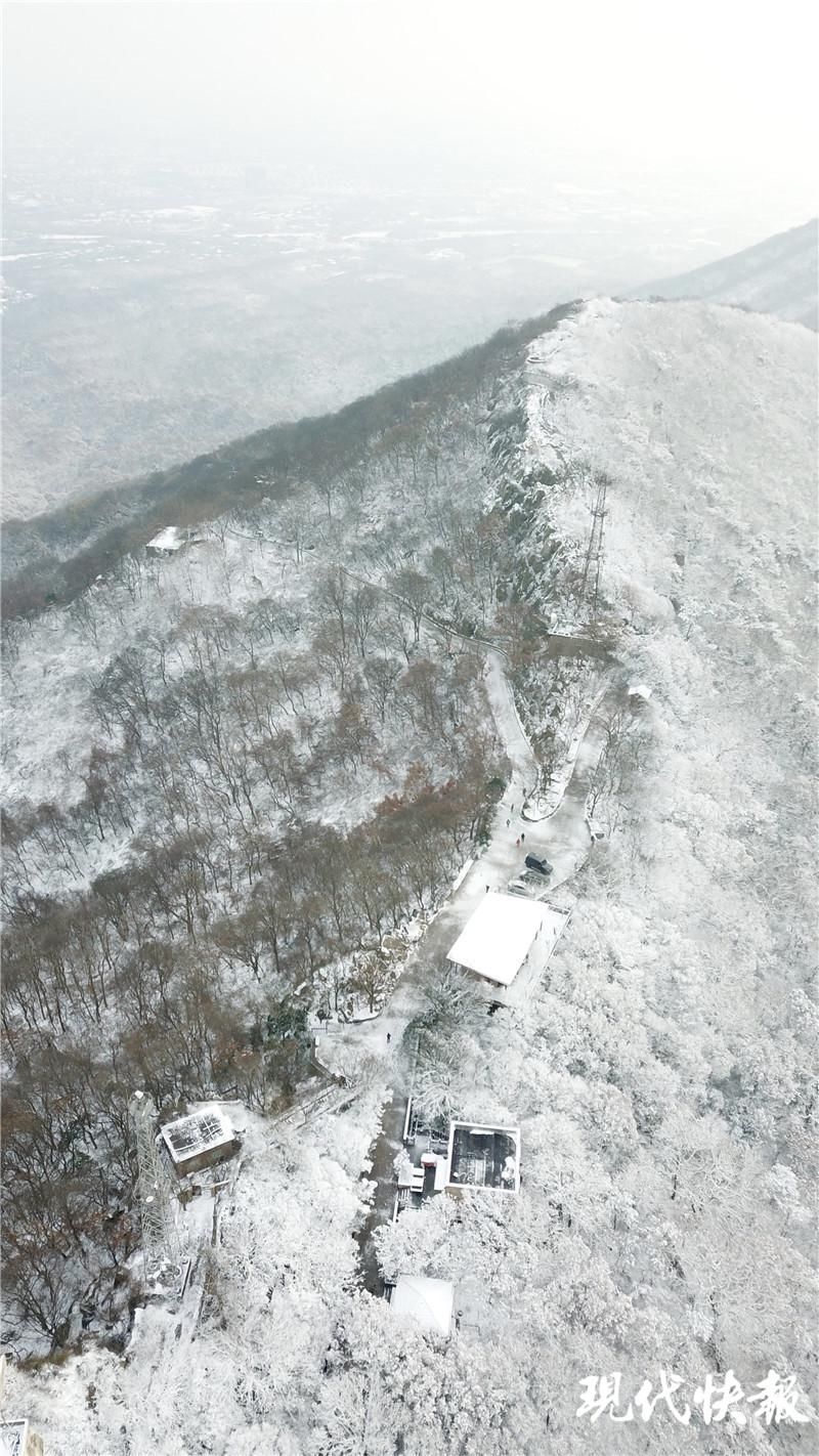 雪落|雪落紫金山，许你一个冰雪世界