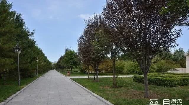 说晋国系列之四:晋穆侯及其谜一样的夫人