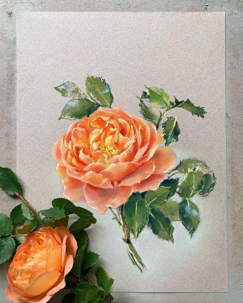 鲜花!太疯狂了!原来用粉笔画画,也可以这么美,简单几招教你,美到邻居羡慕嫉妒