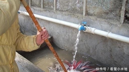 拖把|家里拖把用久了又脏又臭,老保姆教你几招,立马变得又香又干净