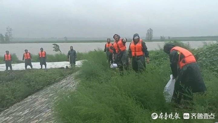 抢险|直击漳卫河冠县防汛一线！干群协力雨中抢筑“防洪墙”迎战大洪峰