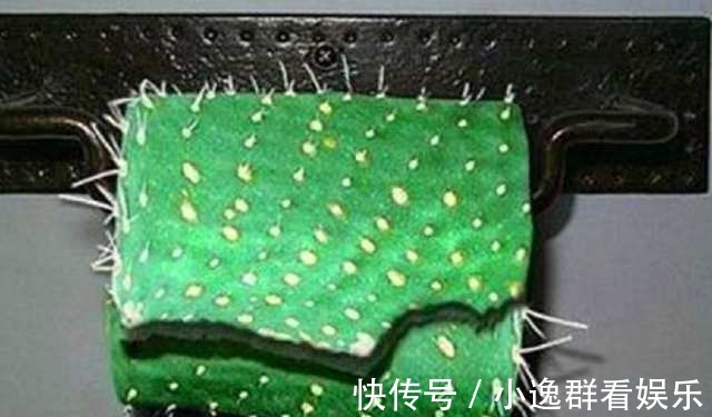 纸巾|最奇葩7种卫生纸：第一种我不敢用，最后一个不舍的用！