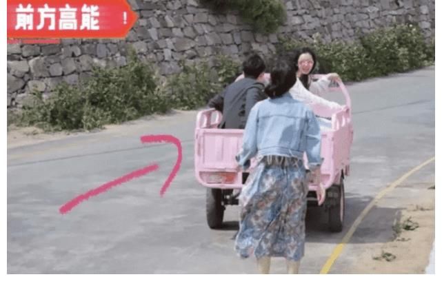 孟子义|《五十里桃花坞》节目张翰、孟子义太好嗑了，“孟翰药”CP撒糖