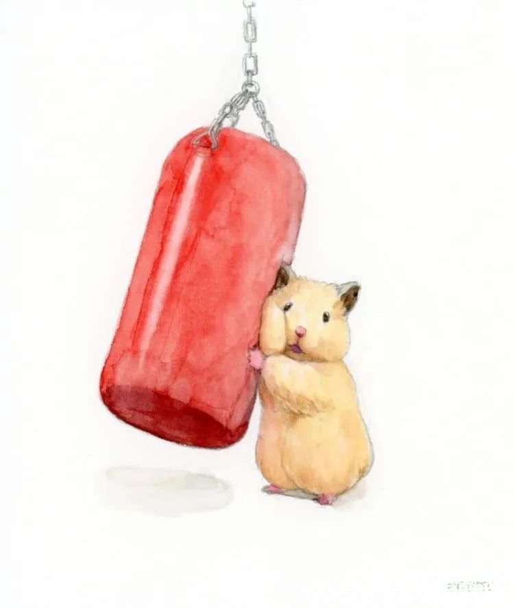 小仓鼠&他的插画主角是一只仓鼠,可爱的举动,萌到心都化了